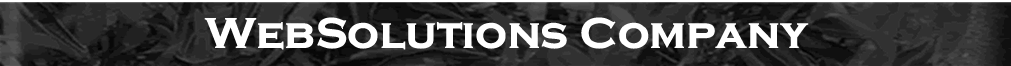 WebSolutions Company Log