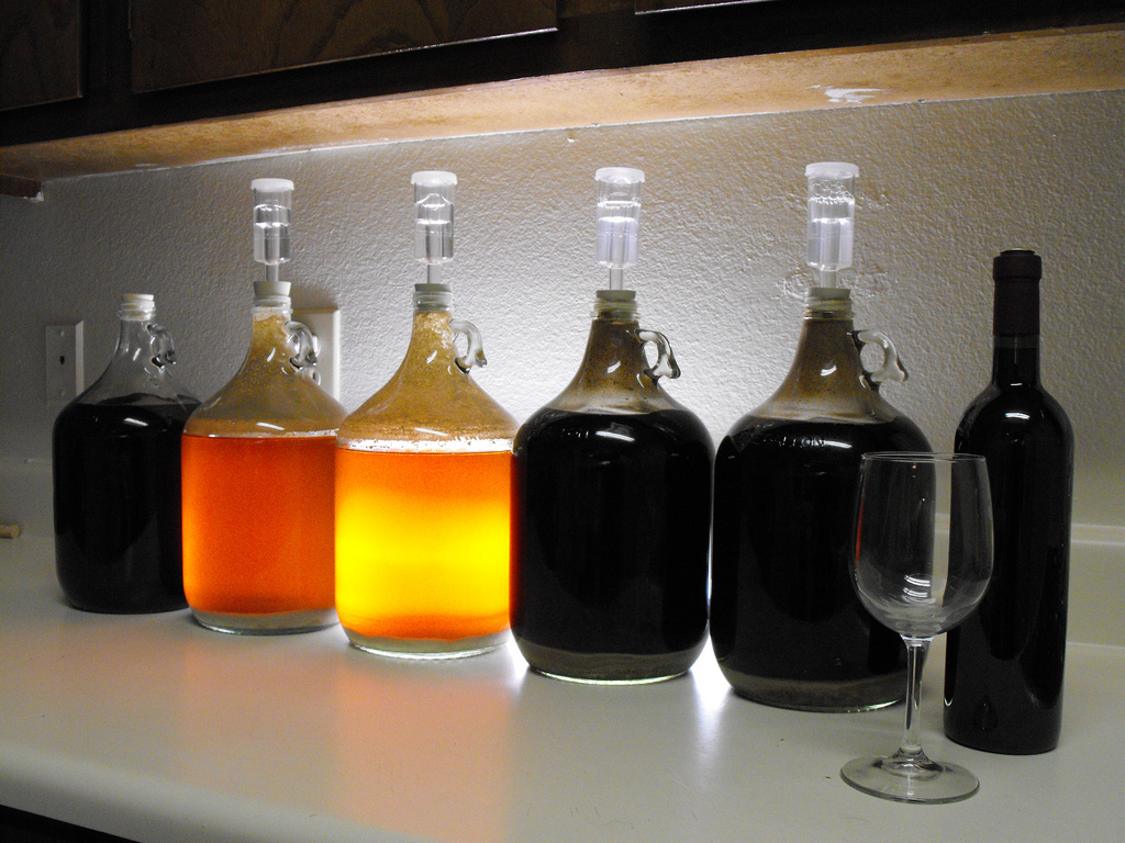 various beers fermenting