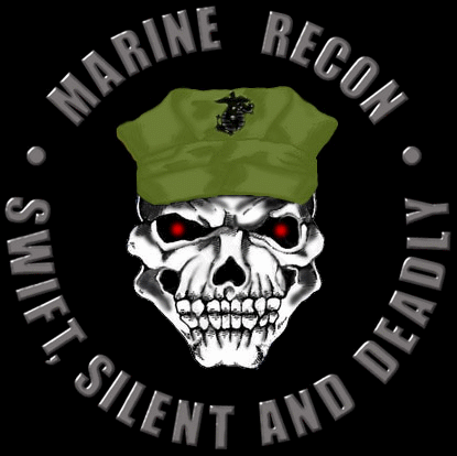 Marine_Recon_animated.gif