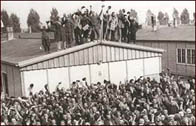 Photograph showing Dauchau prisoners greeting their liberators