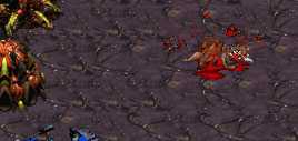 Hydras have a lot of guts in them.