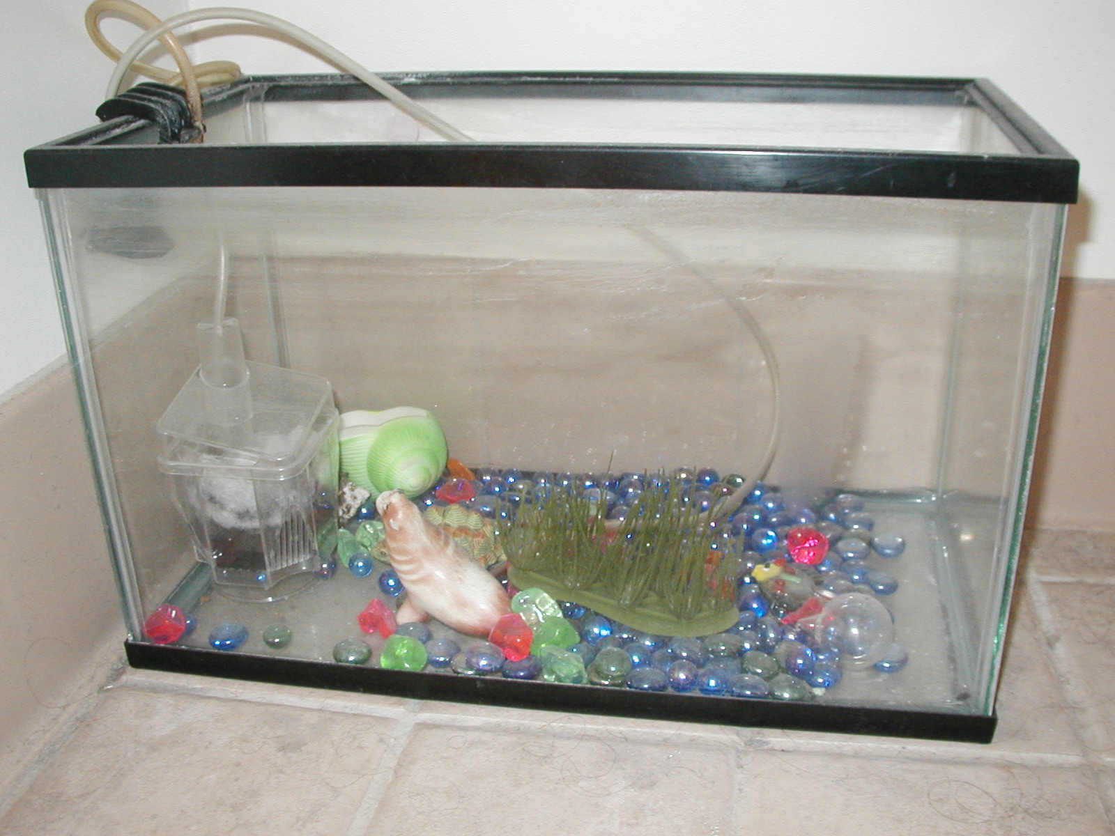 tank