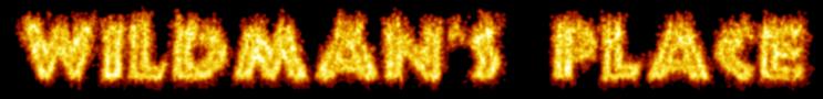 wpfire.jpg (13672 bytes)