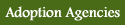 Adoption Agencies