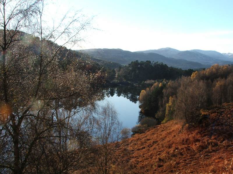 Glen Affric, Caithness, Scotland