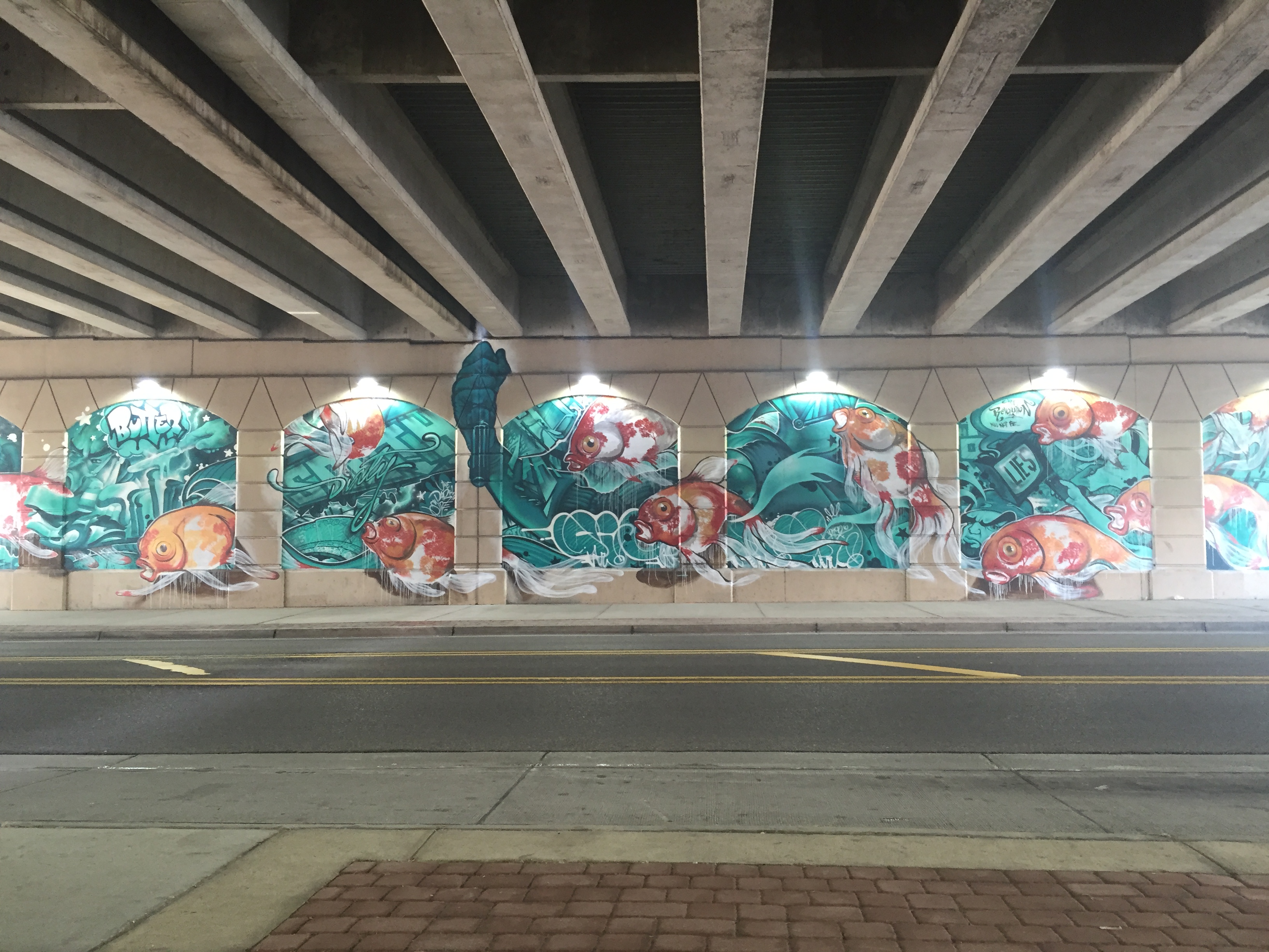 Graffiti wall at a 50 bus stop