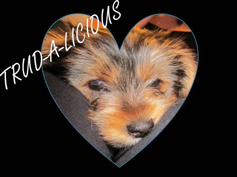 Trudy Love