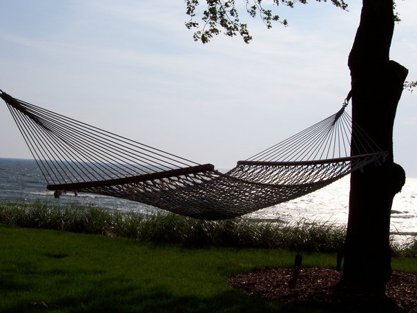Hammock in Holland, MI