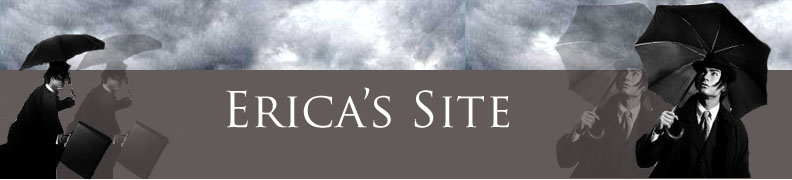 erica's banner