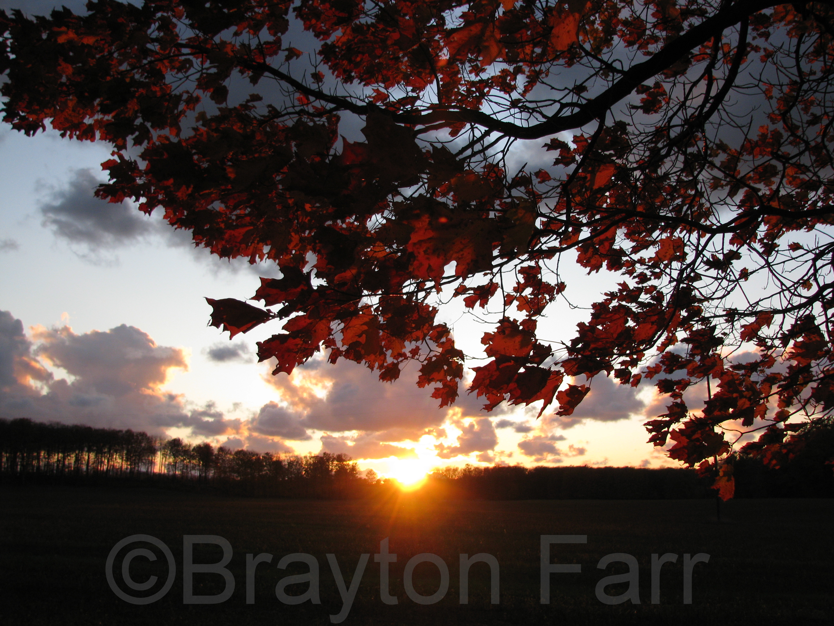 Fall 2008
