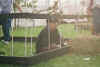 sitedirjailed.jpg (96611 bytes)