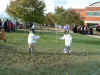 bunnyfencing.jpg (64544 bytes)
