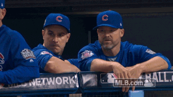 Popular GIF  Chicago cubs world series, Cubs win, Cubs baseball