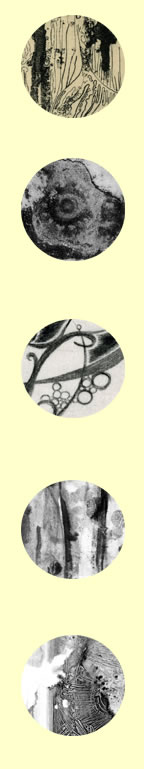 Printmaking Gallery