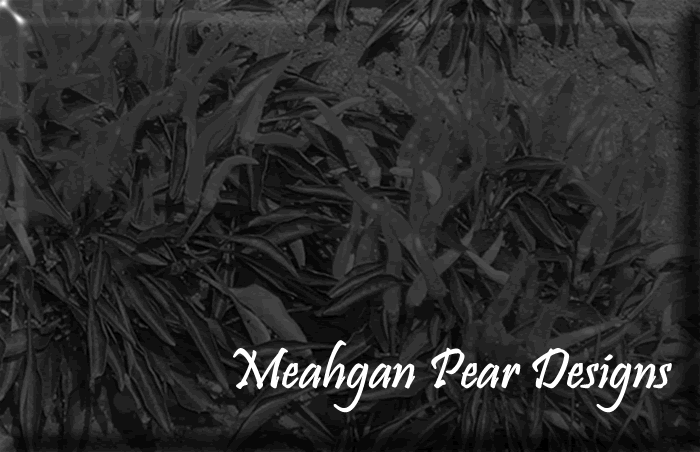 Meahgan Pear Designs