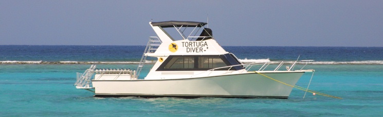 Dive Boat