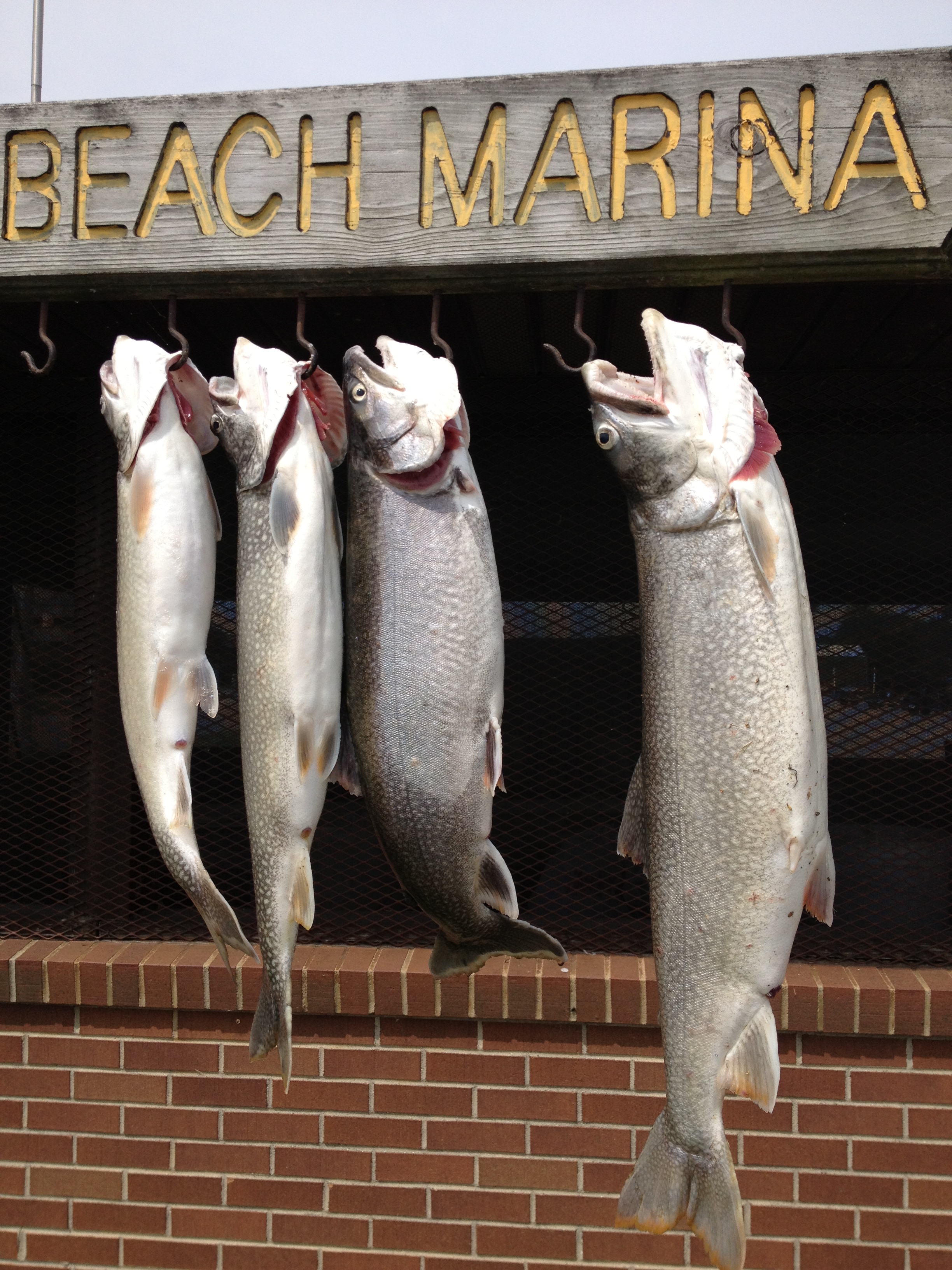 Harbor Beach Marina fish cleaning station