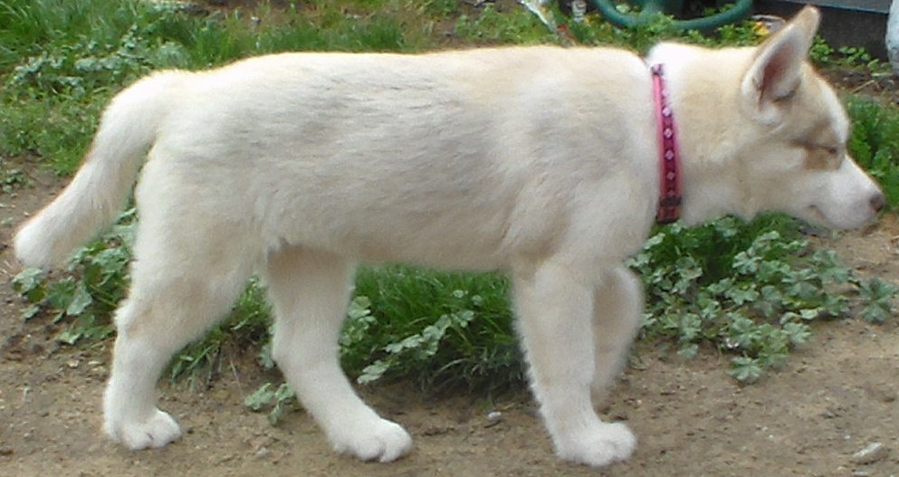 Arianna outside