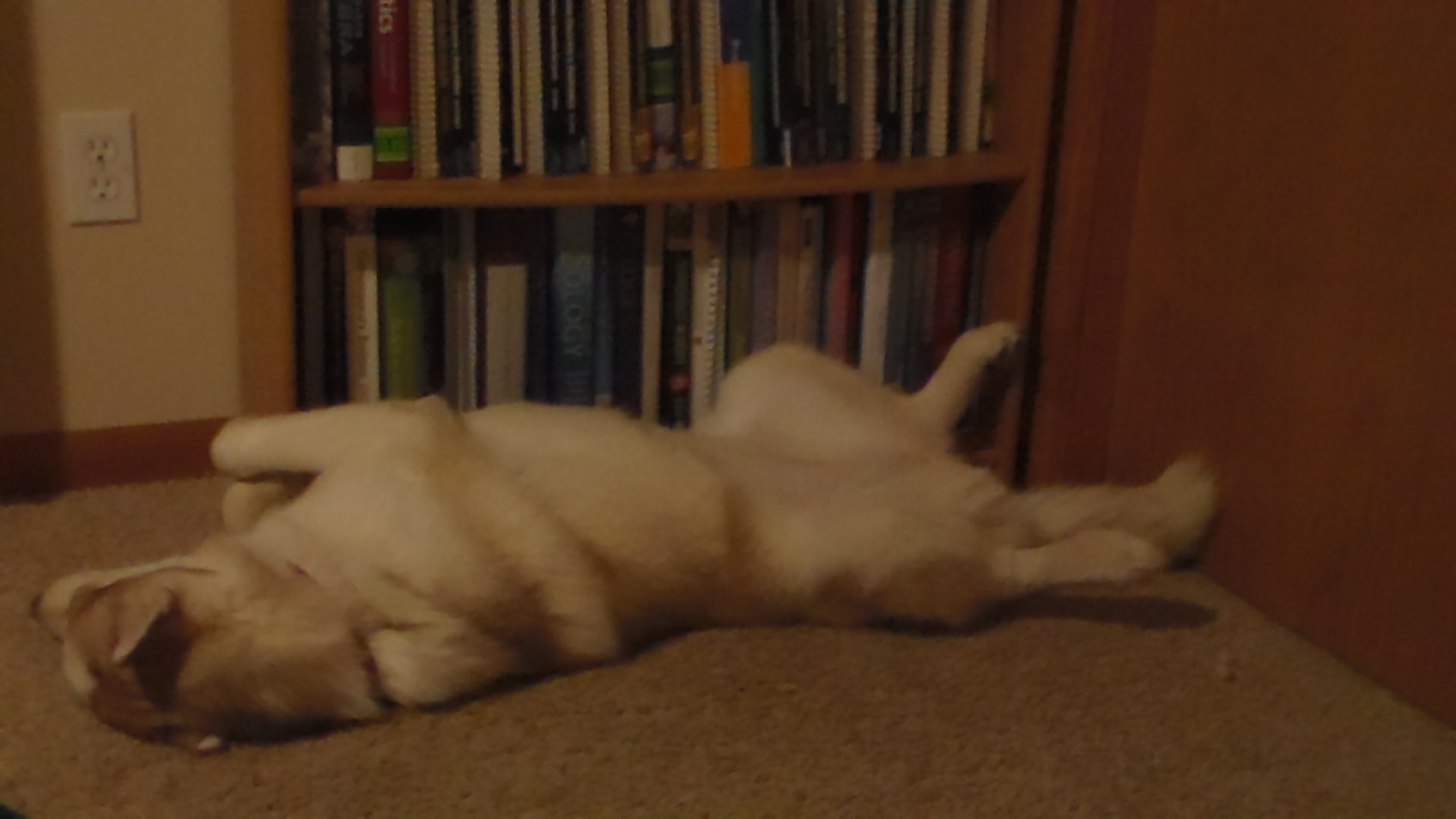 Arianna sleeping