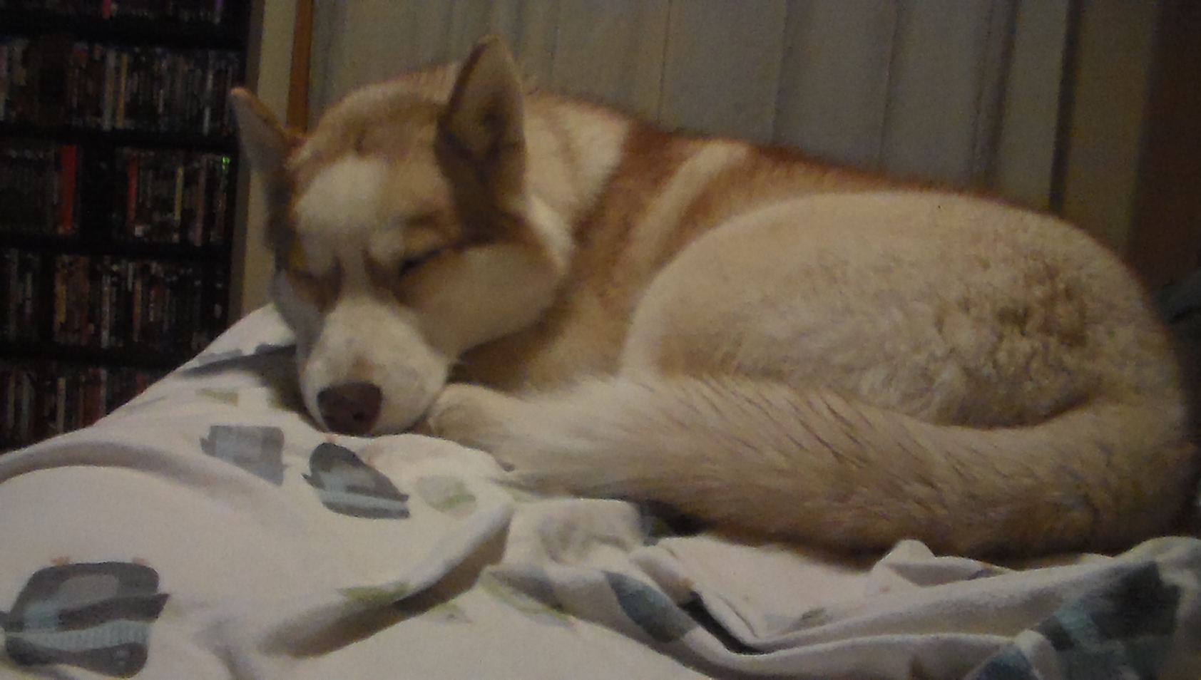 Arianna sleeping 2