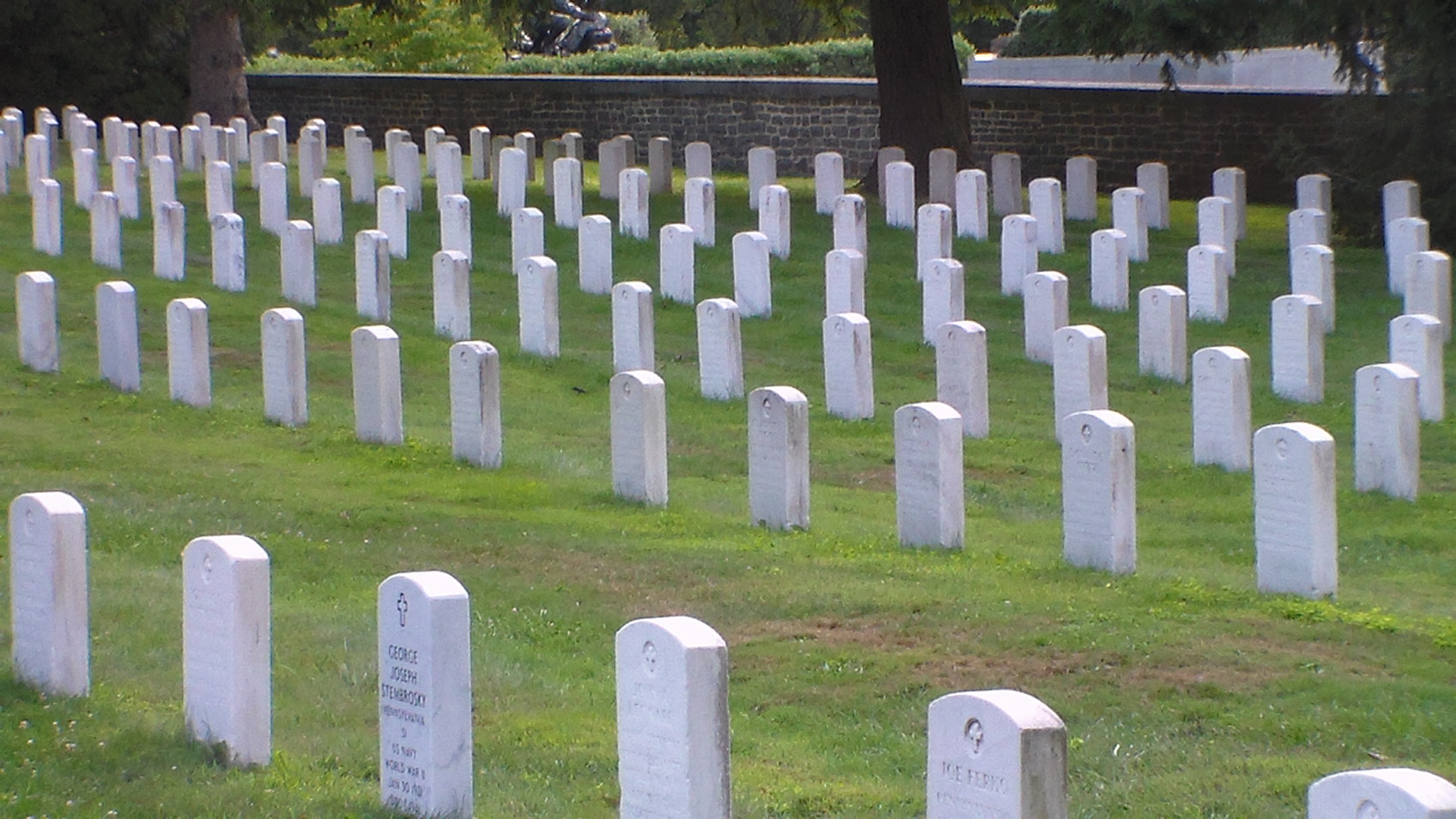 nc graves