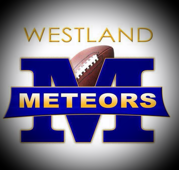 Meteors Logo