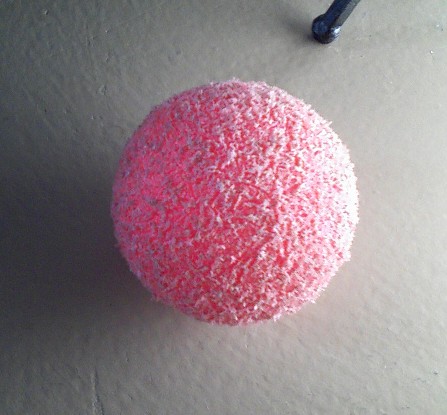 Dog Toy