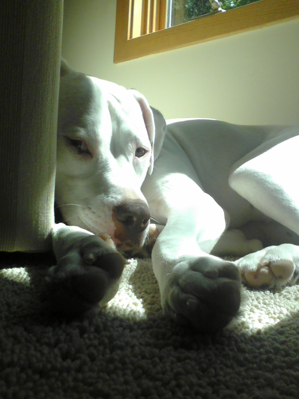 C.C. being cute