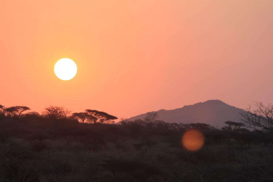 sunset over grasslands