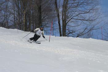 Erica, slalom