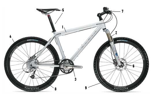 Hardtail