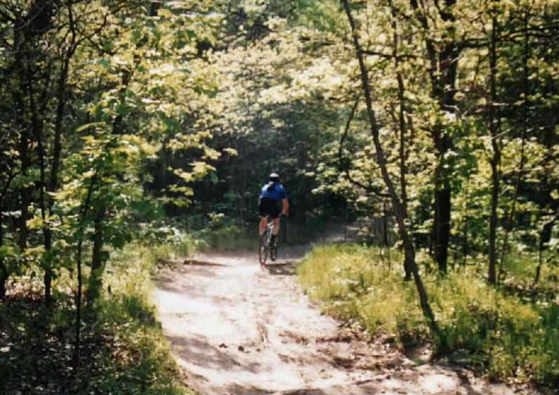 YAnkee Springs