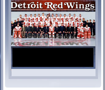 red wings photo