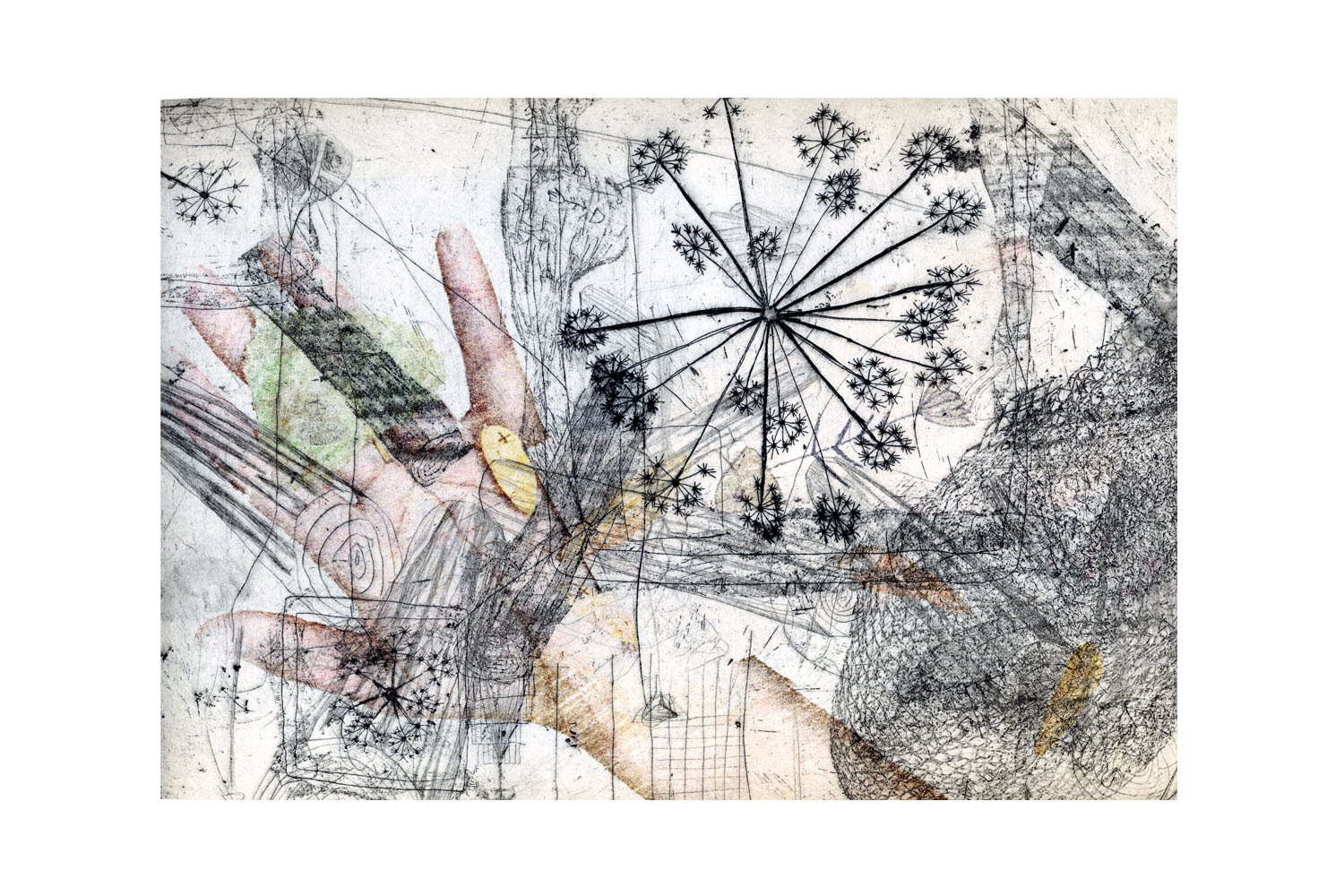 printmaking